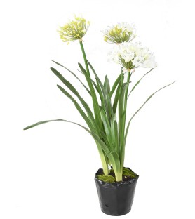 AGAPANTHE En Motte - Blanc - 90 cm - Plante artificielle