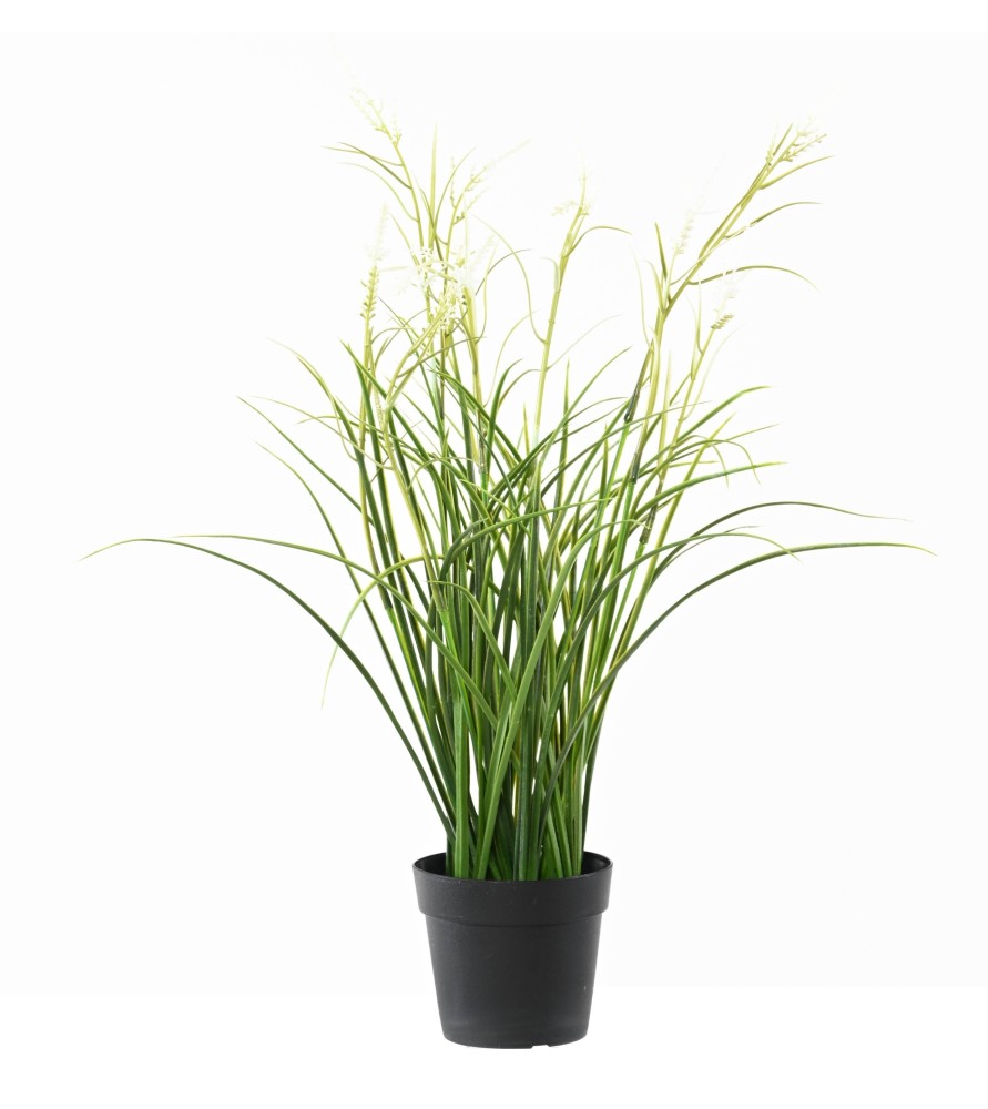 ACORUS Fleuri 45 cm - Vert/Blanc - Plante artificielle ACORUS Fleuri 45 cm - Vert/Blanc - Plante artificielle