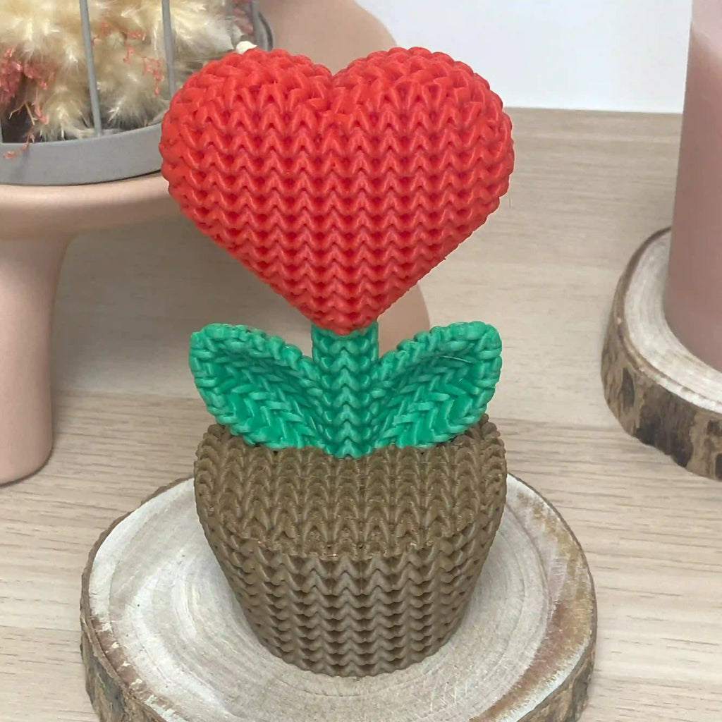Plante au cœur rouge