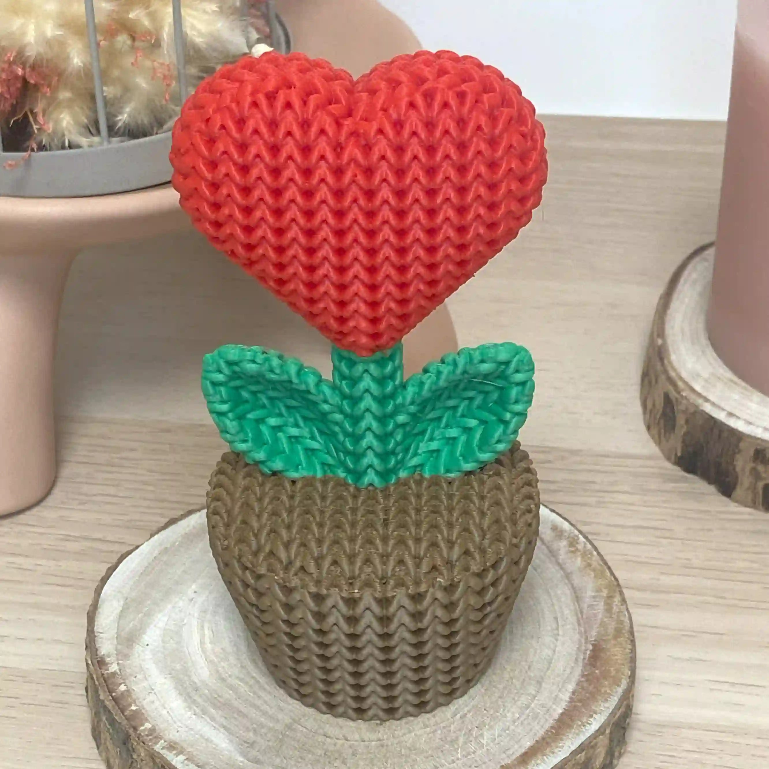 Plante au cœur rouge