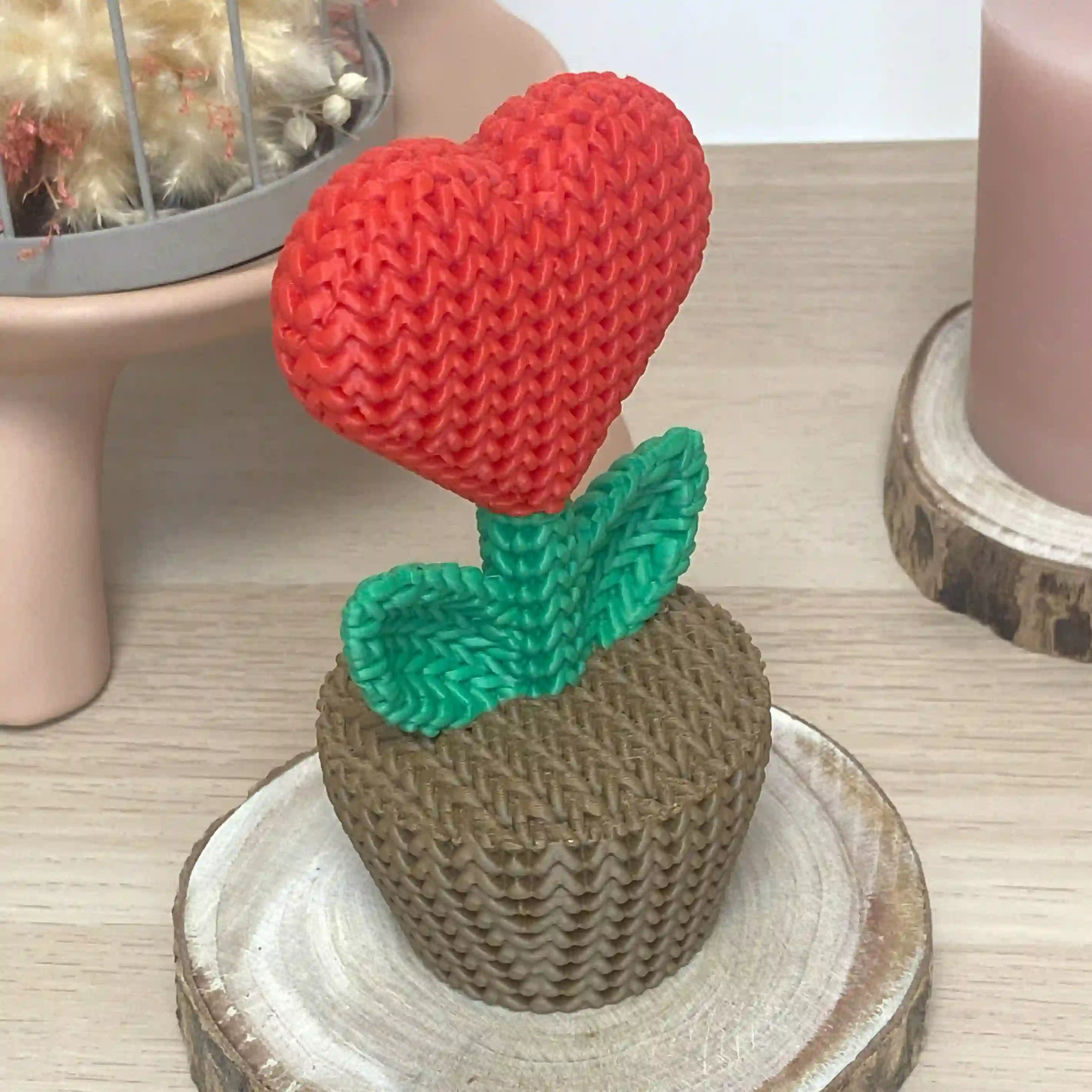 Plante au cœur rouge