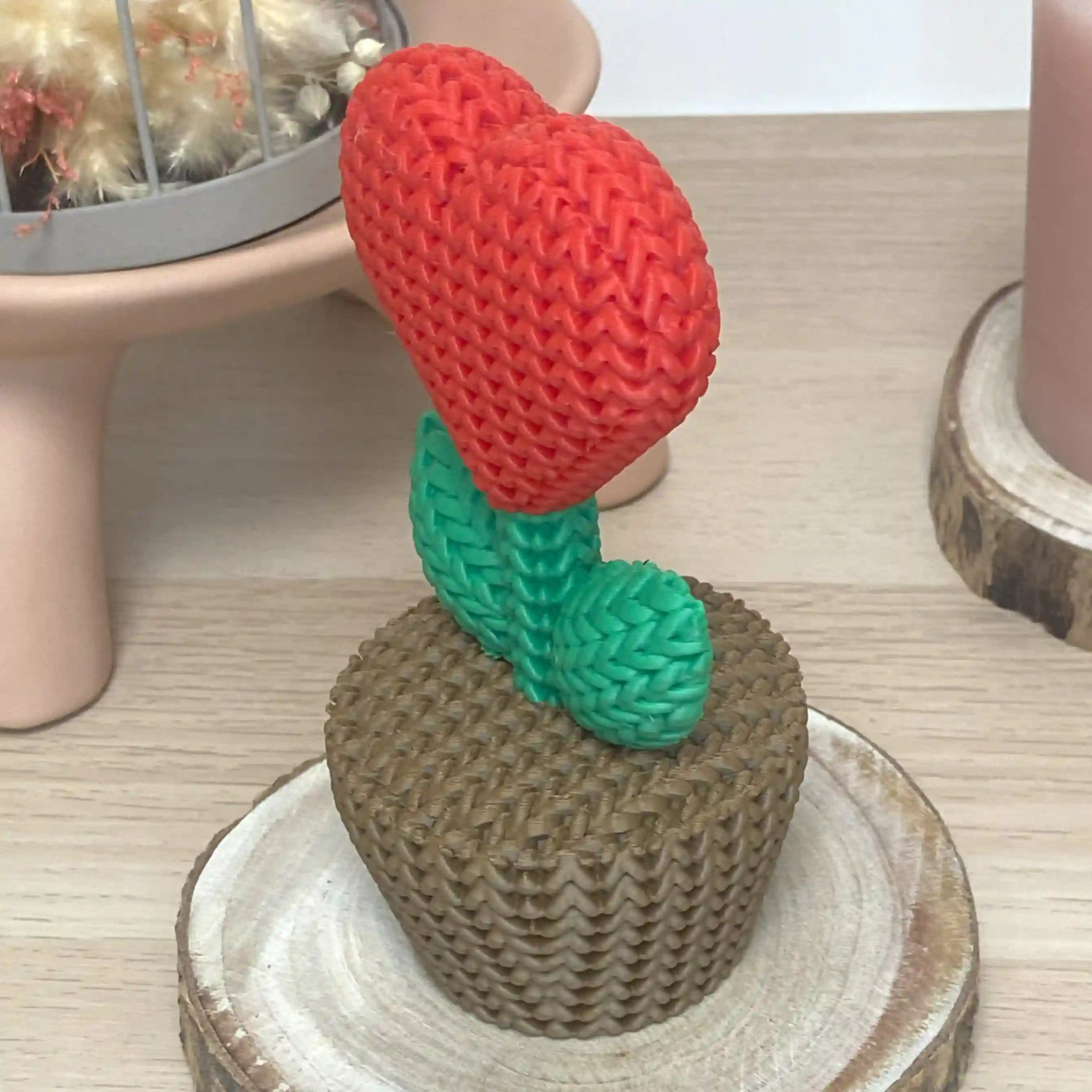 Plante au cœur rouge