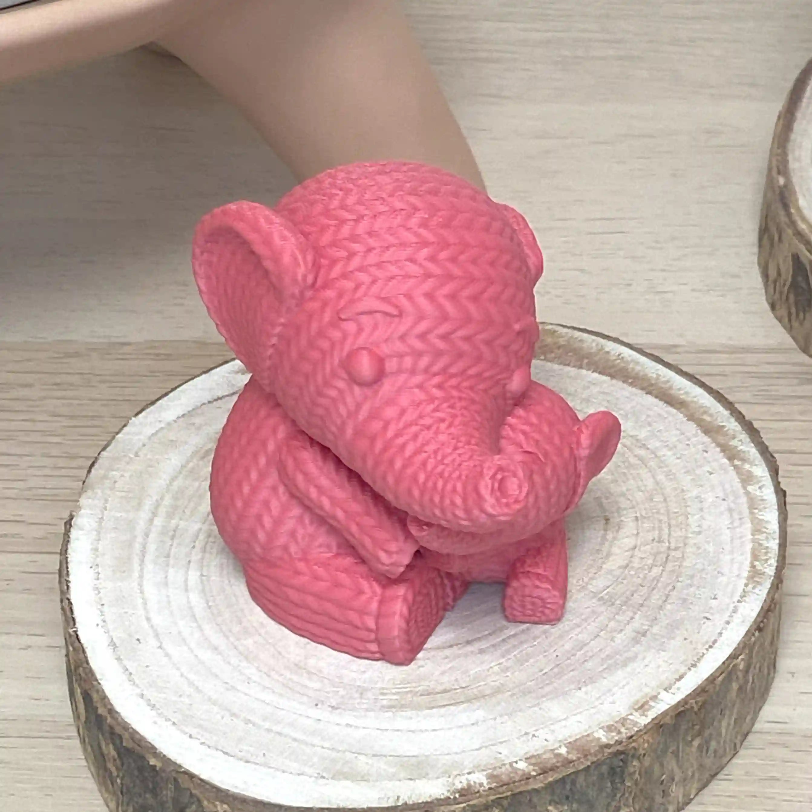 Maman et bébé éléphant