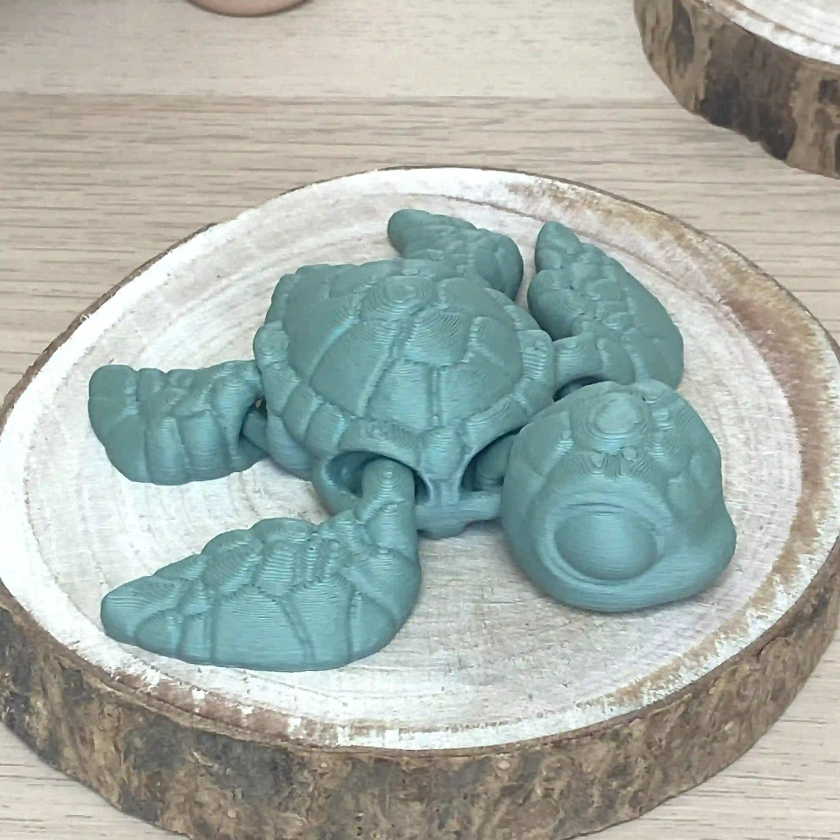 Turtle sea