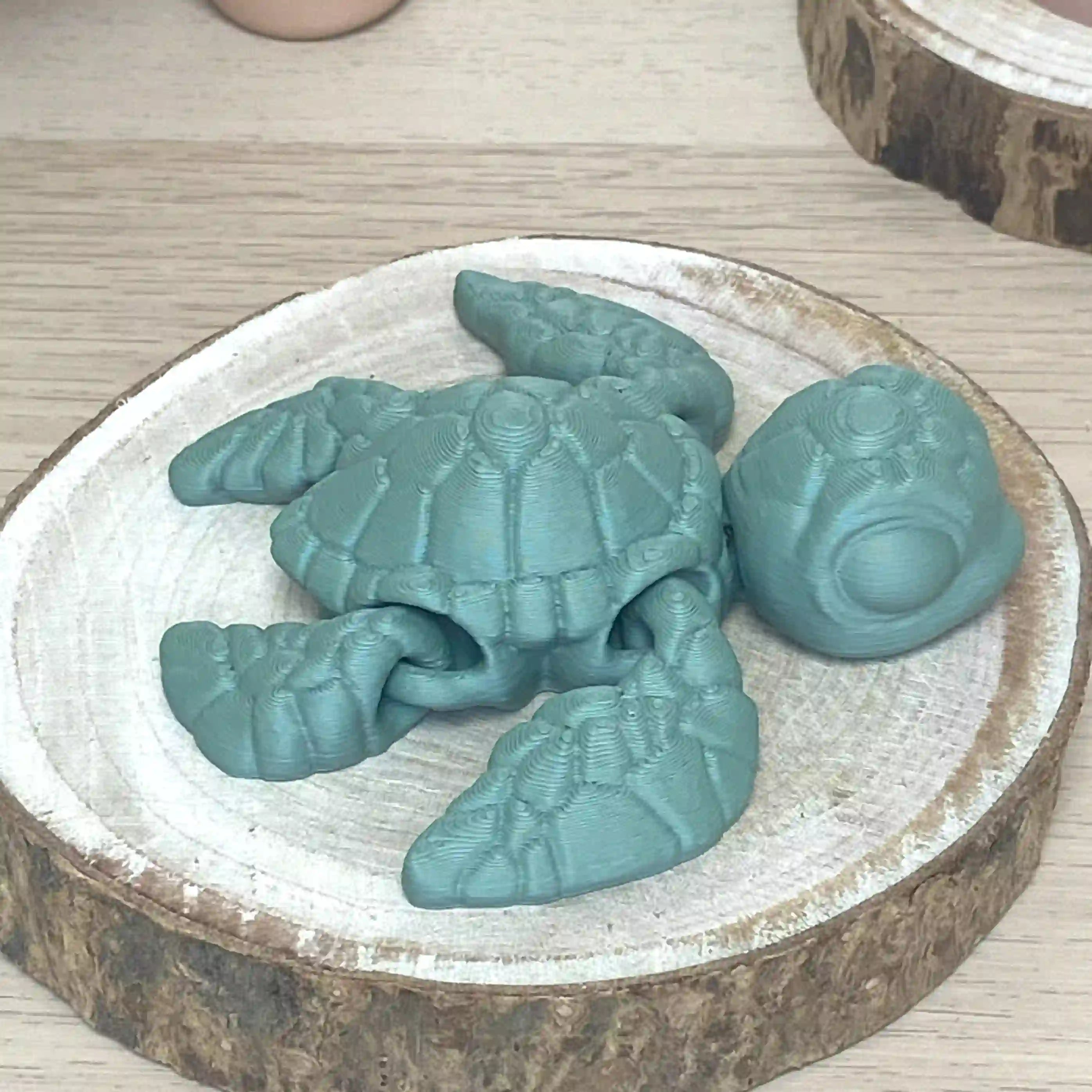 Turtle sea
