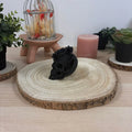 Crâne en rose imprimé en 3D | Figurine 3D - POMM Créations