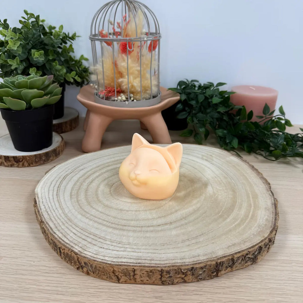 Catoptic imprimé en 3D | Décoration 3D - POMM Créations
