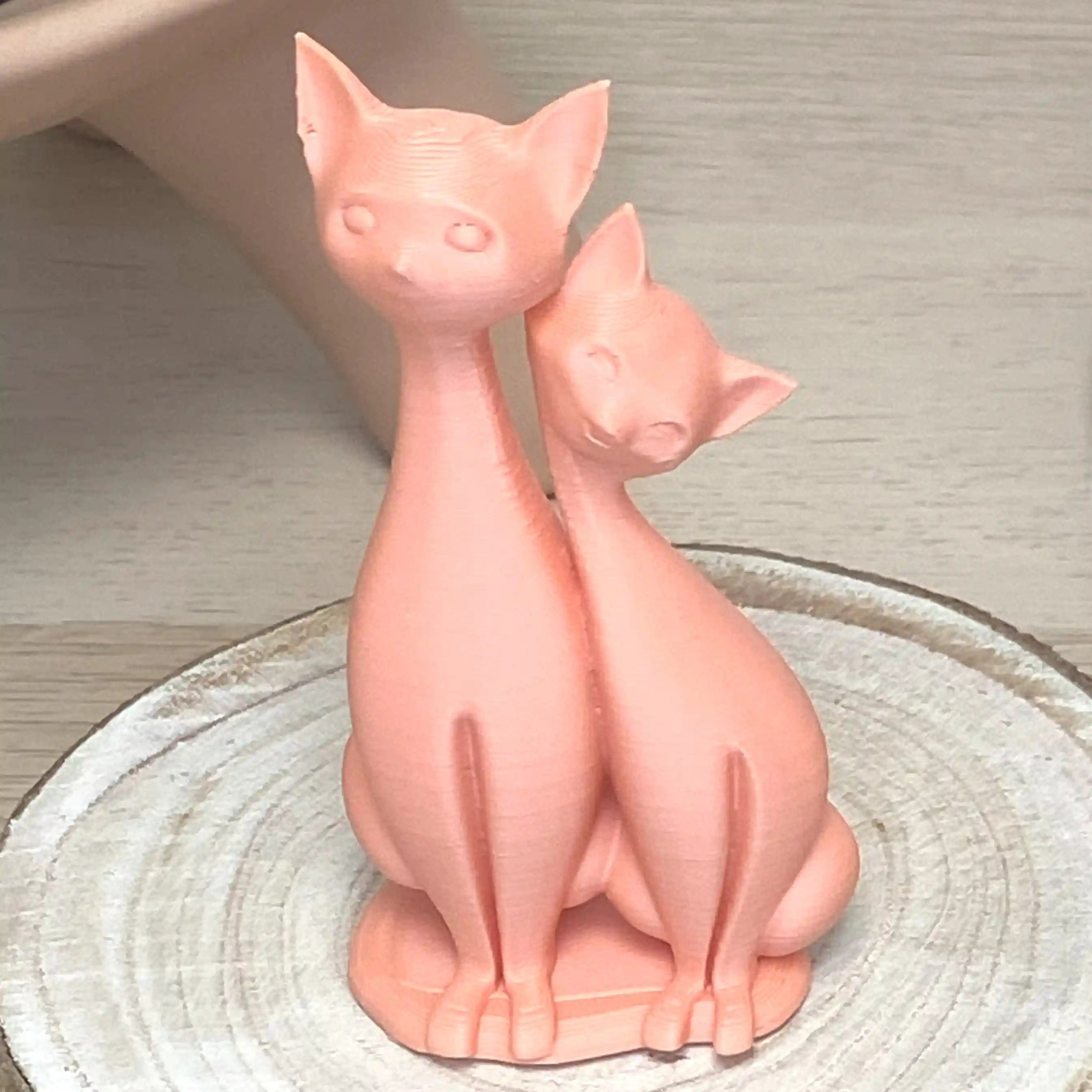 Couple de chat assis