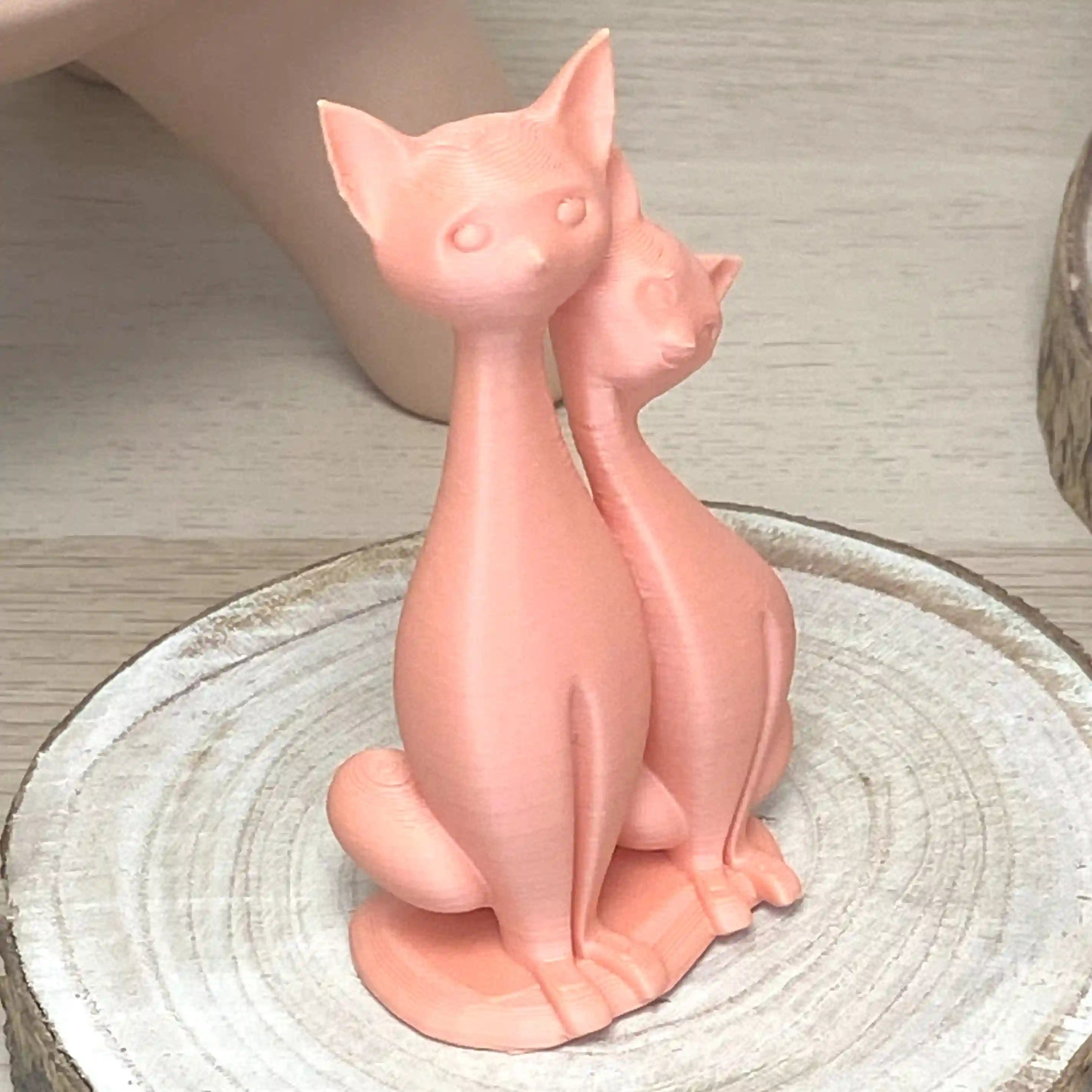 Couple de chat assis