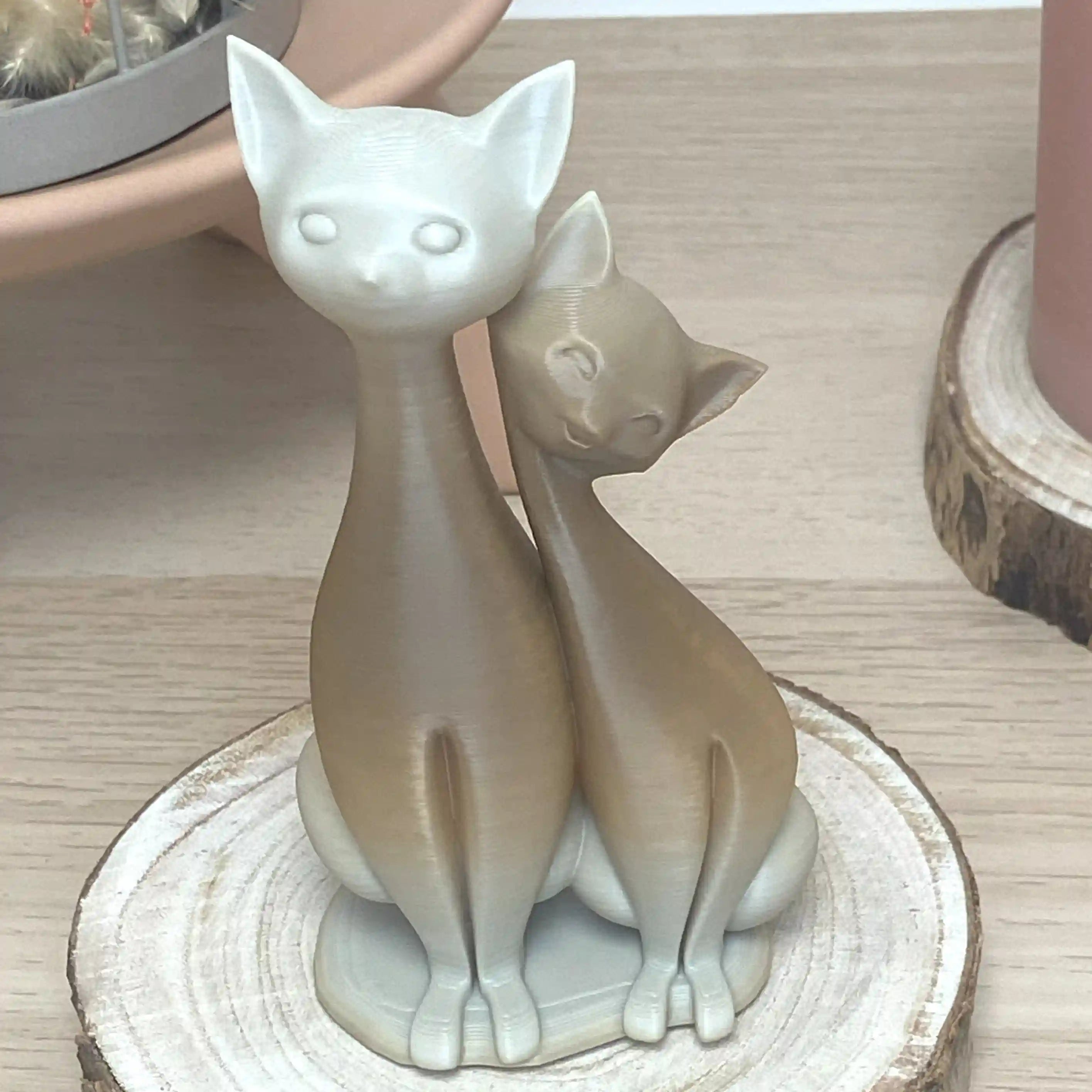 Couple de chat assis