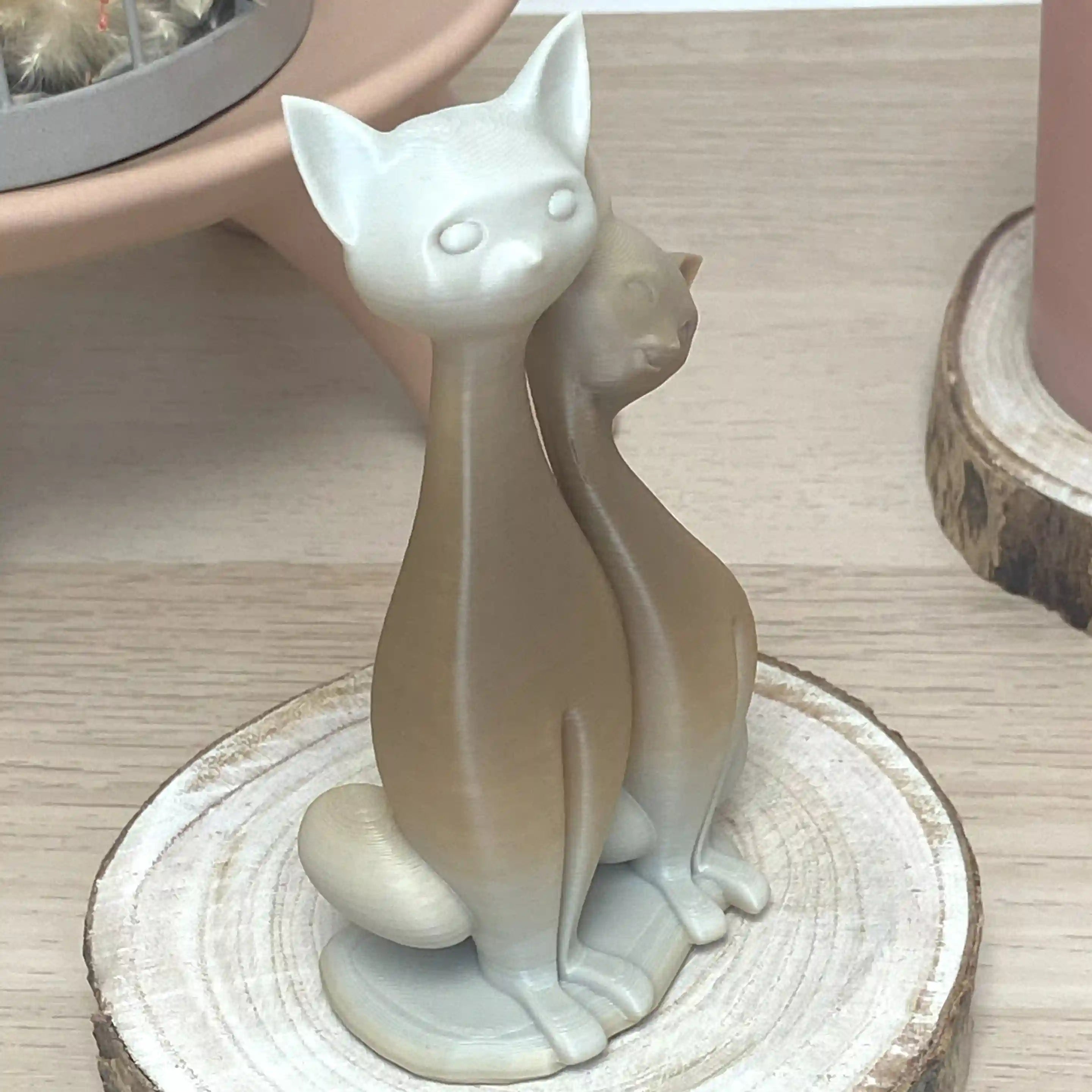 Couple de chat assis