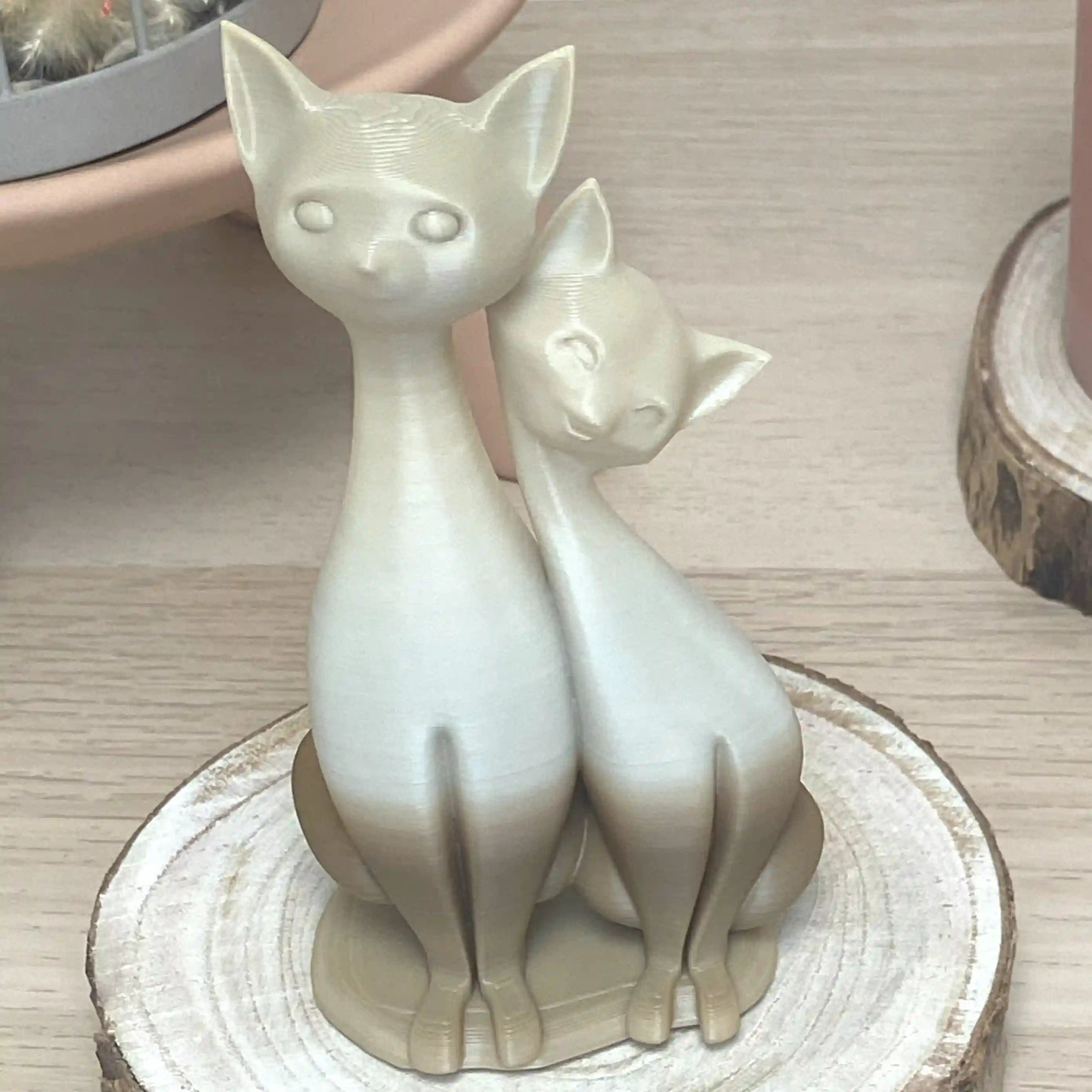 Couple de chat assis