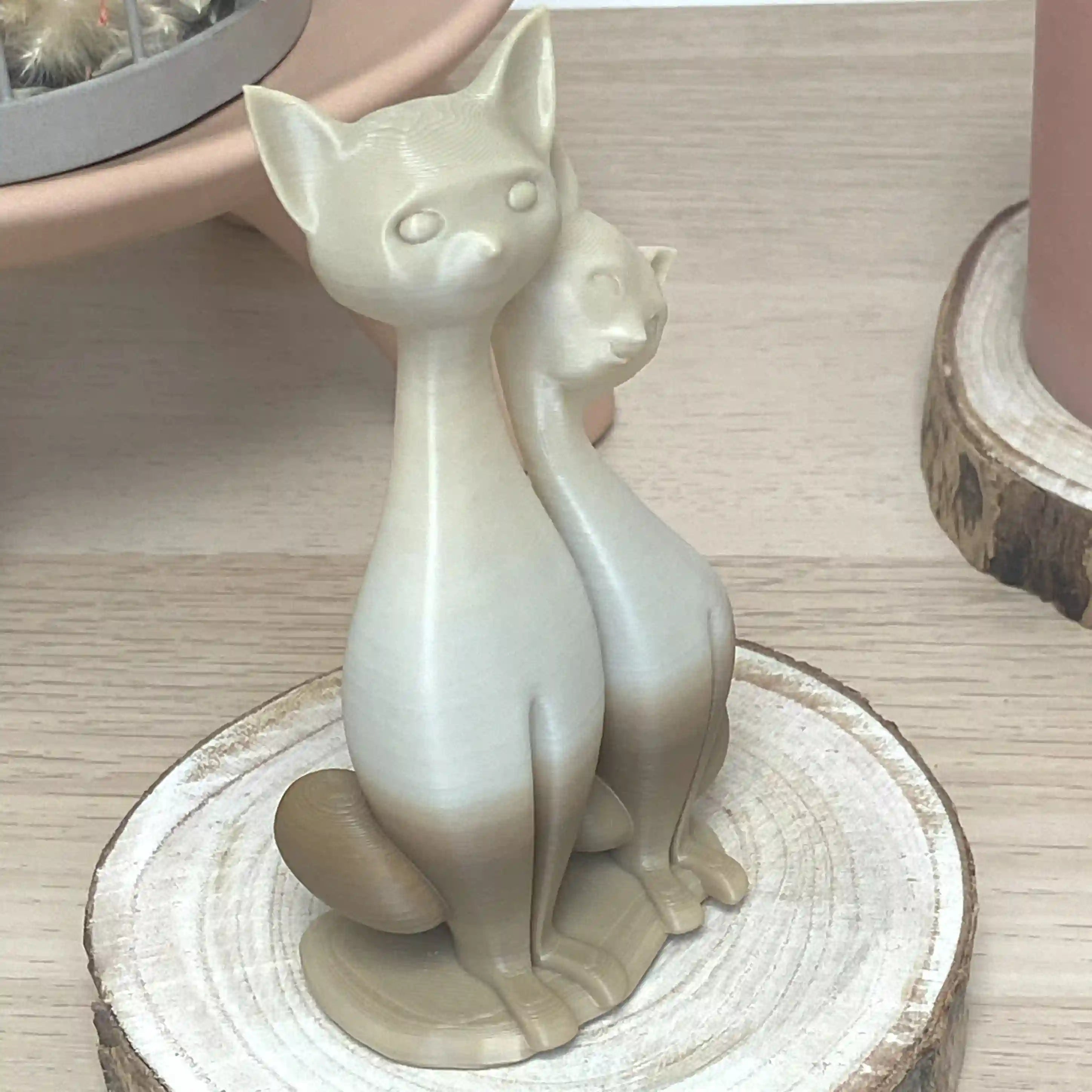 Couple de chat assis