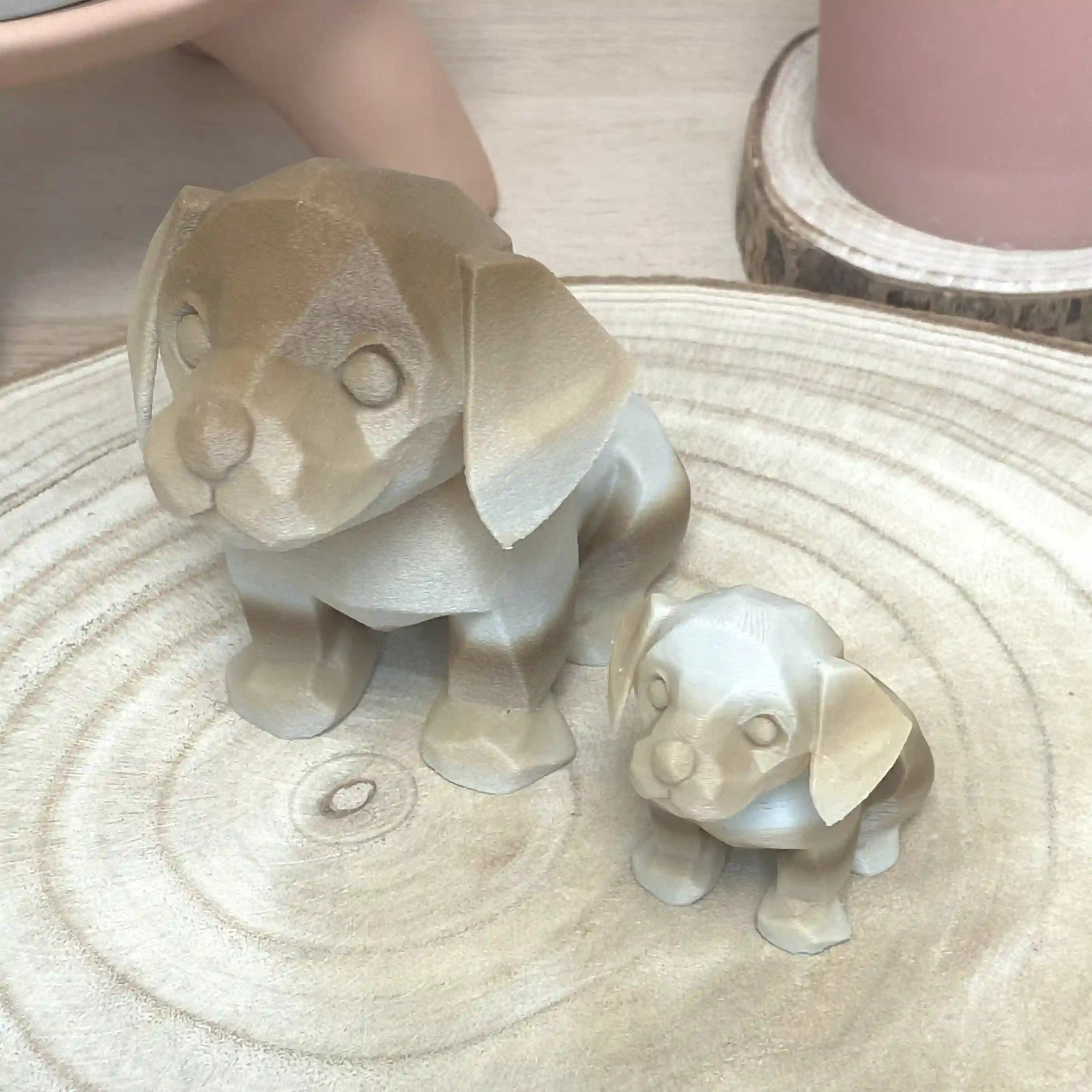 Bébé chien