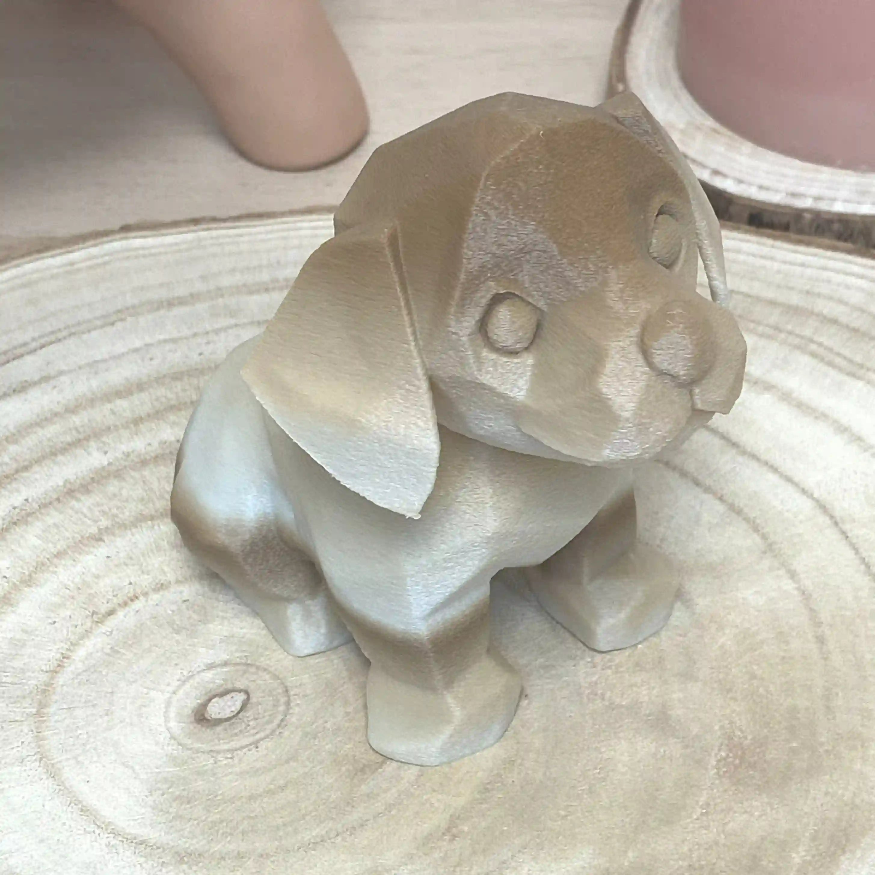 Bébé chien