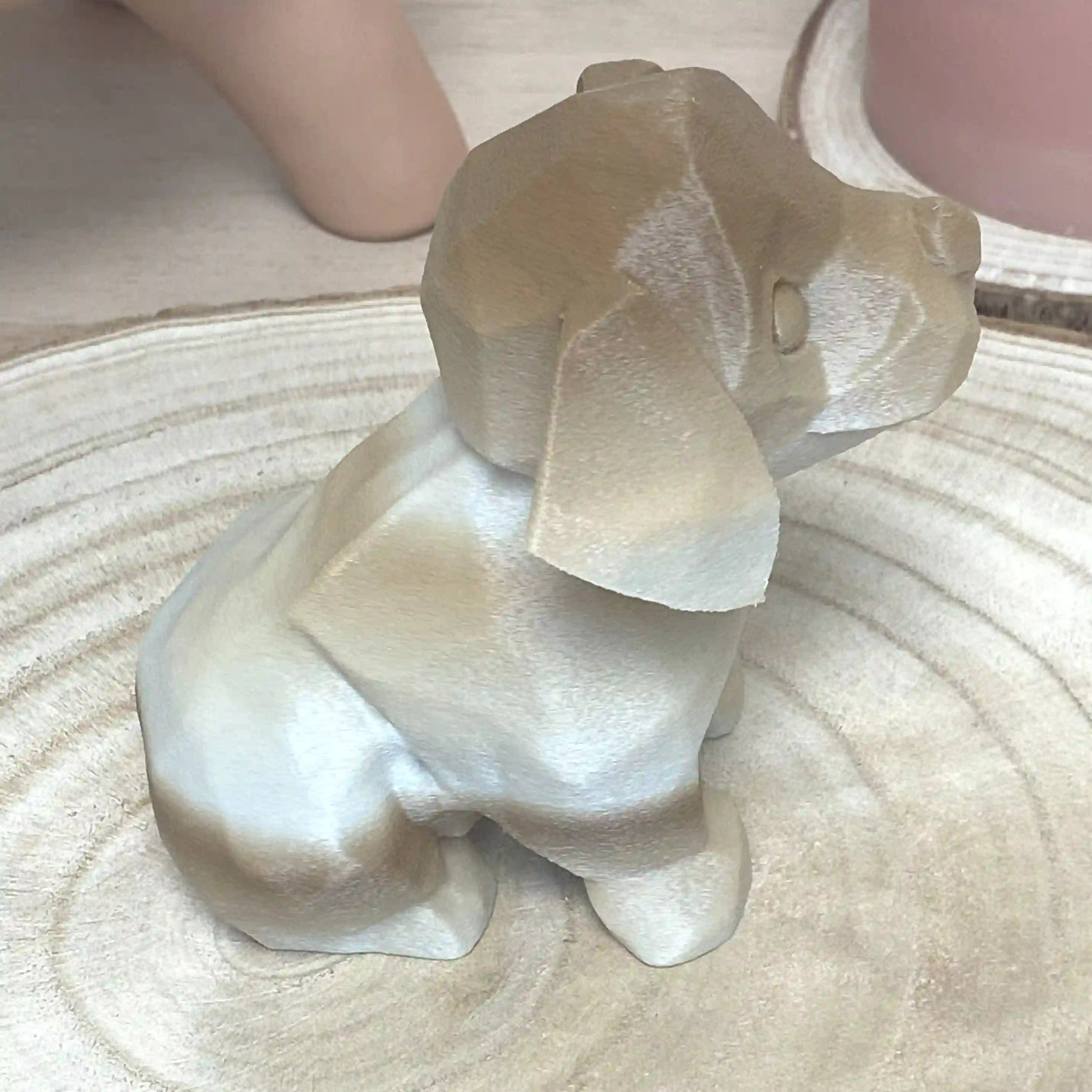 Bébé chien