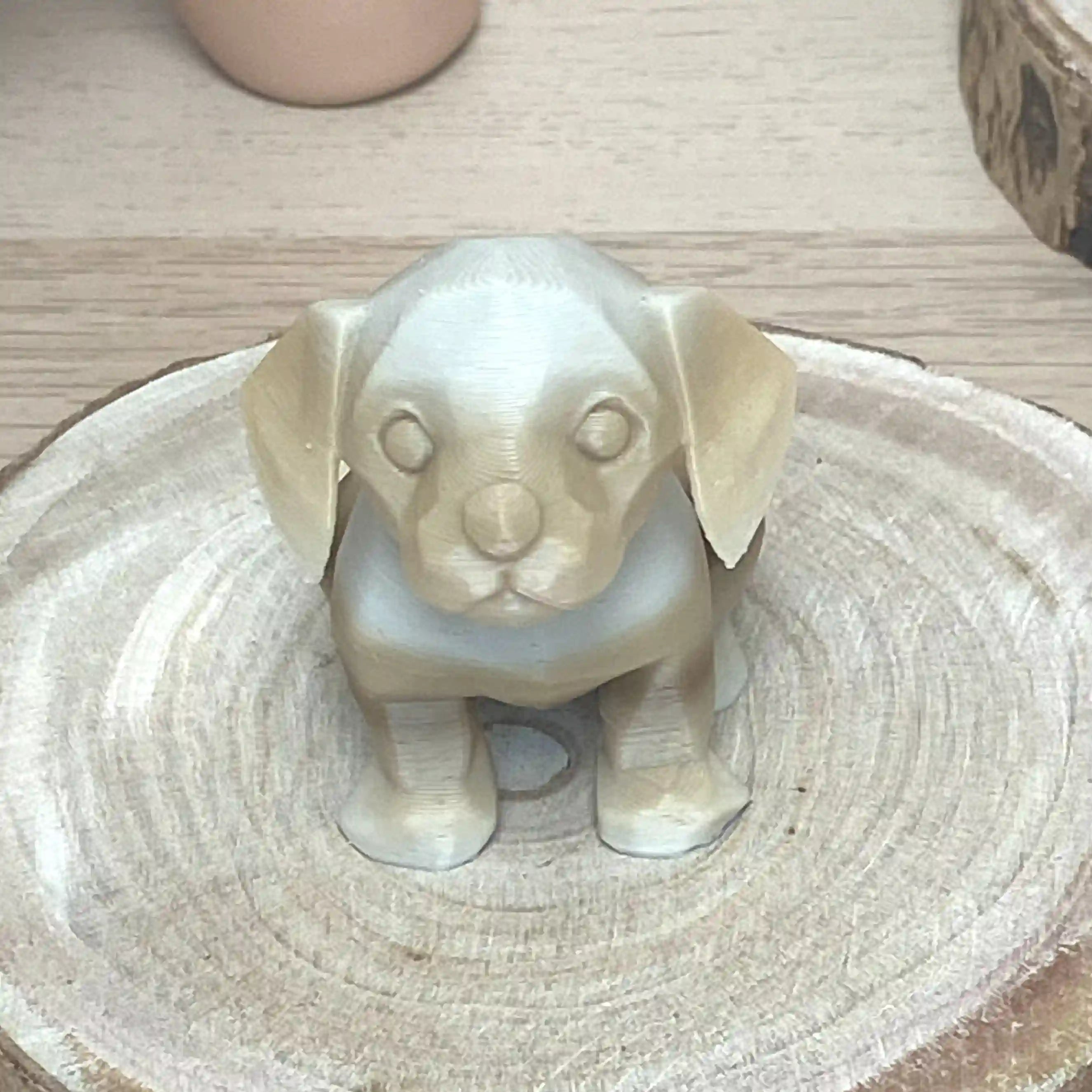 Bébé chien