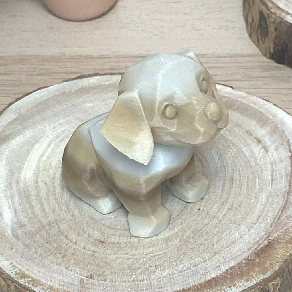 Bébé chien