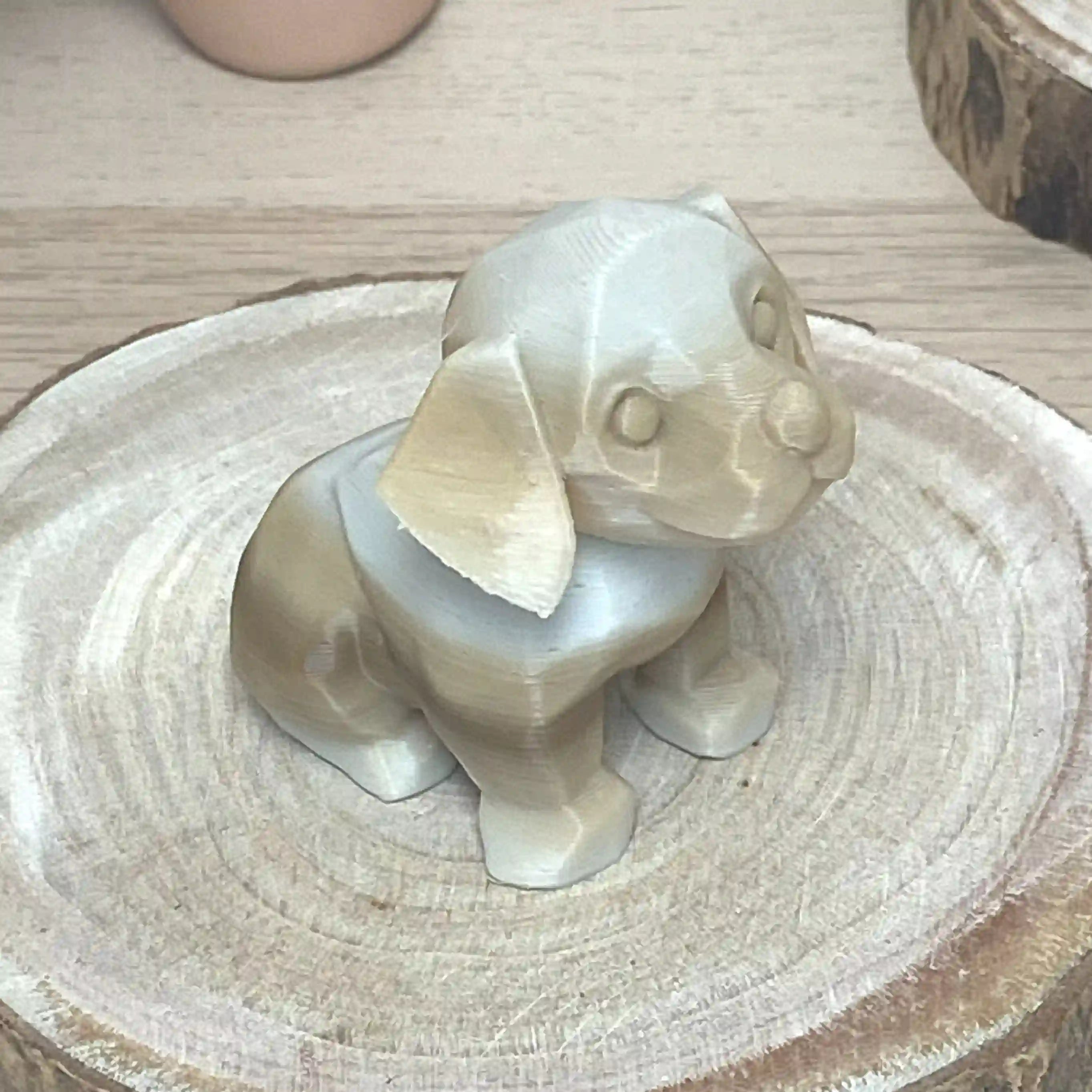 Bébé chien