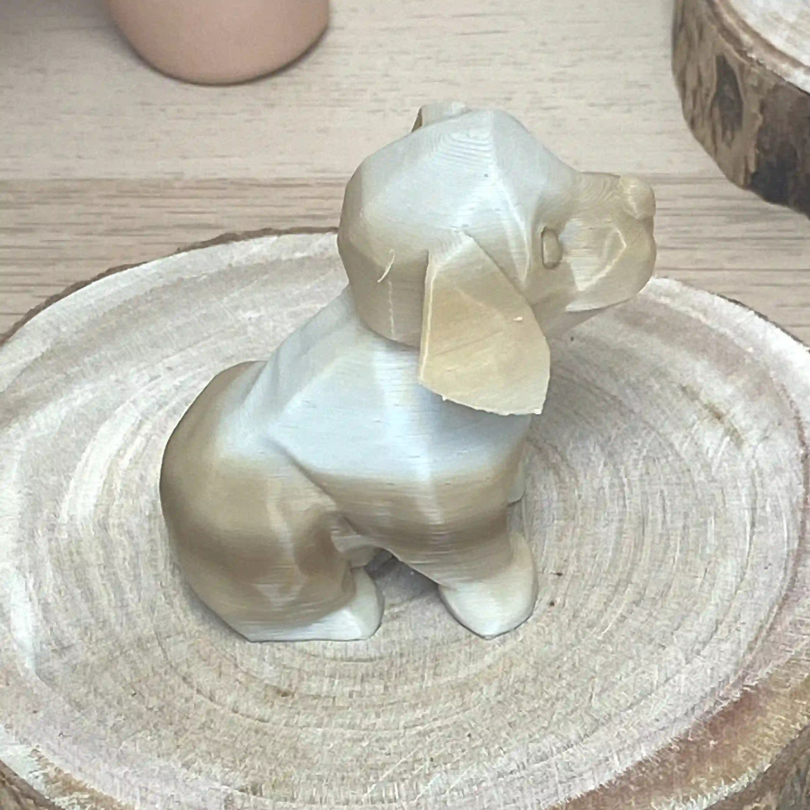 Bébé chien