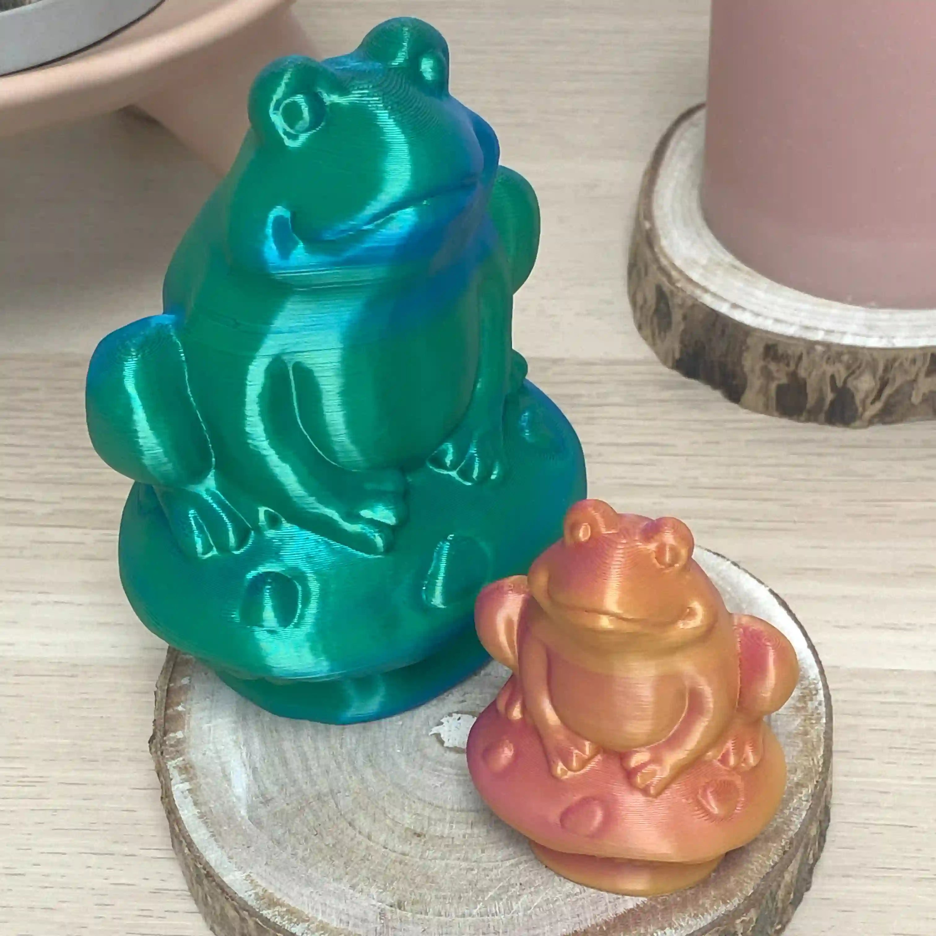 Grenouille sur champi