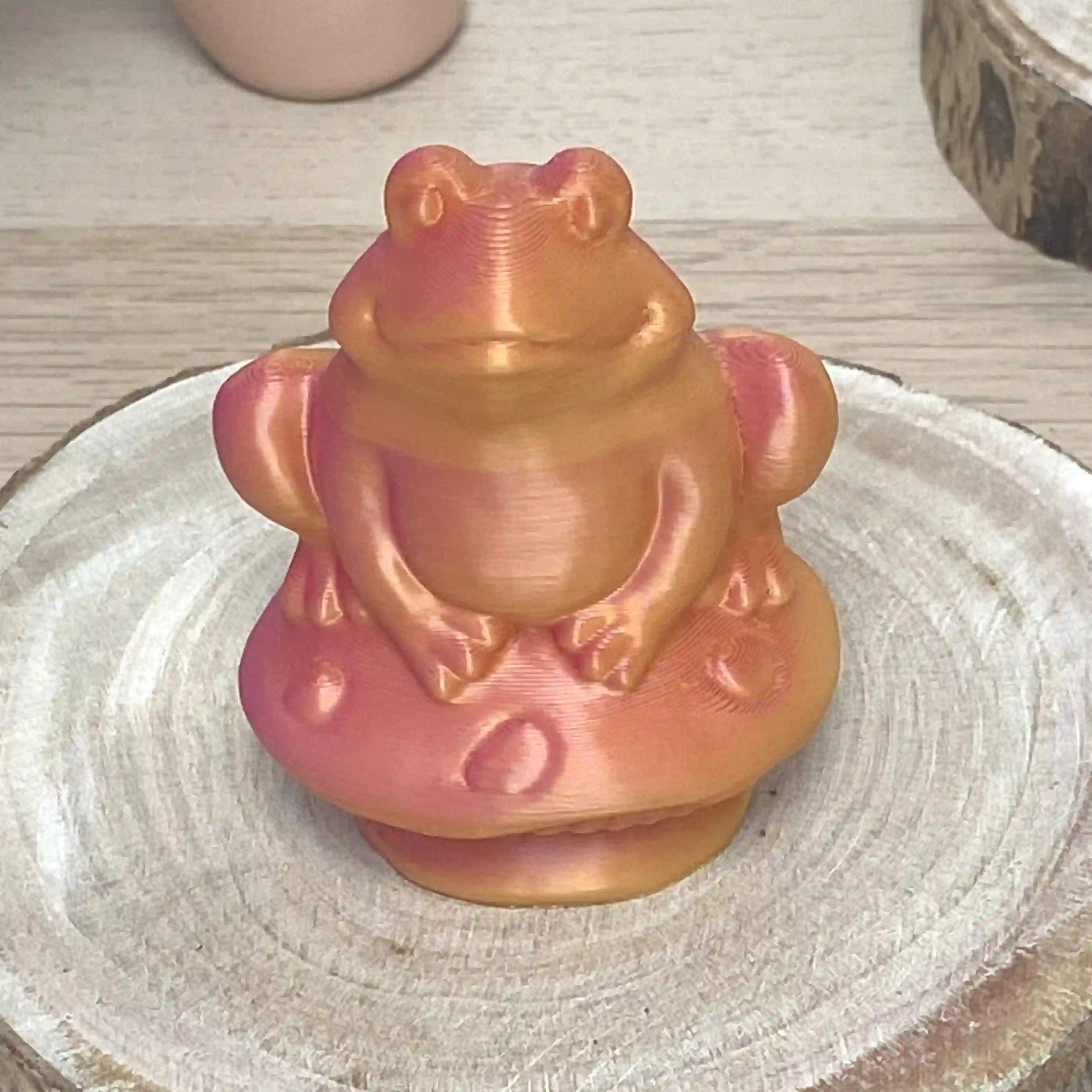 Grenouille sur champi
