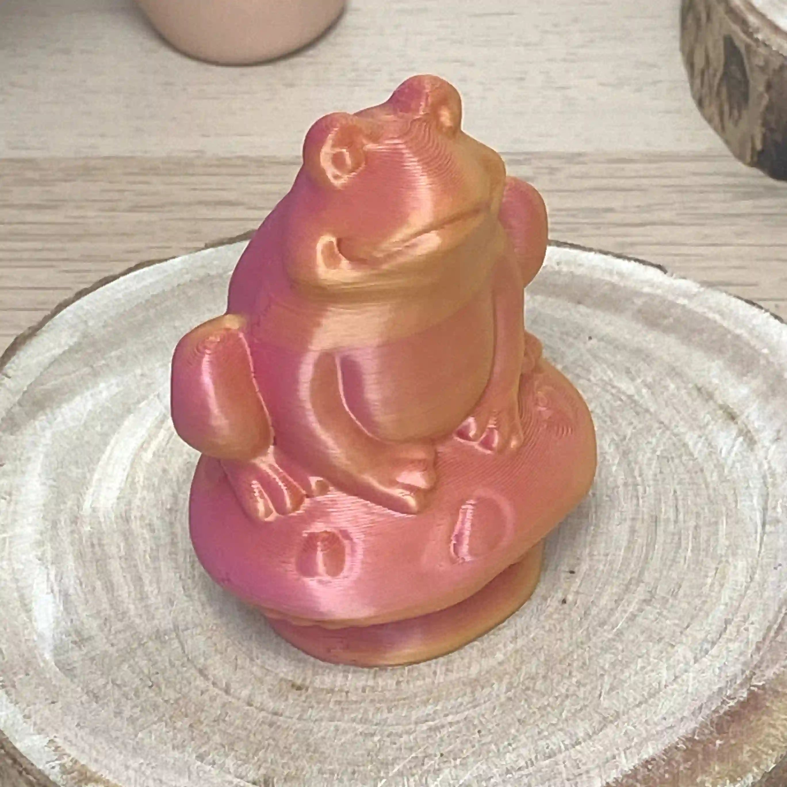 Grenouille sur champi