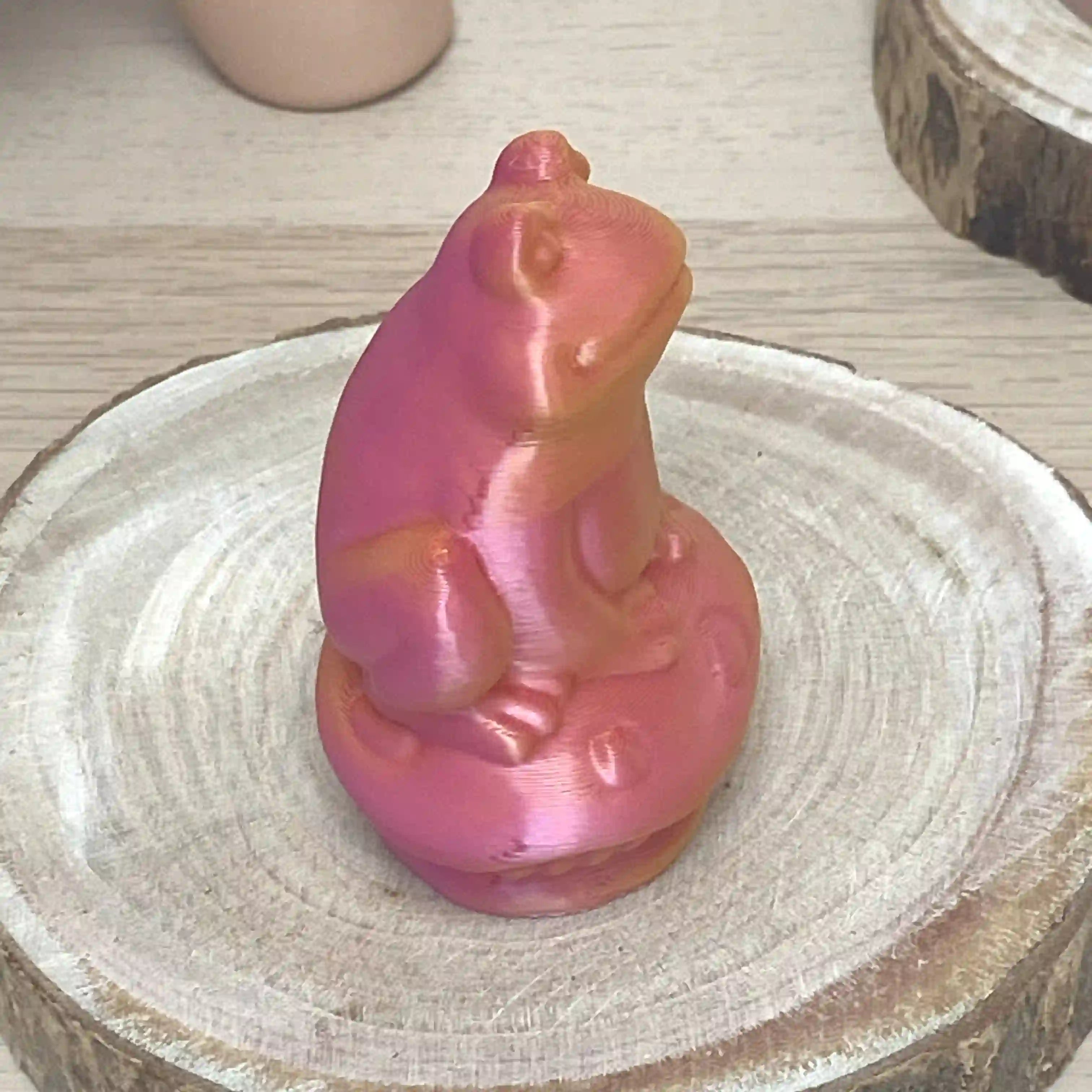 Grenouille sur champi