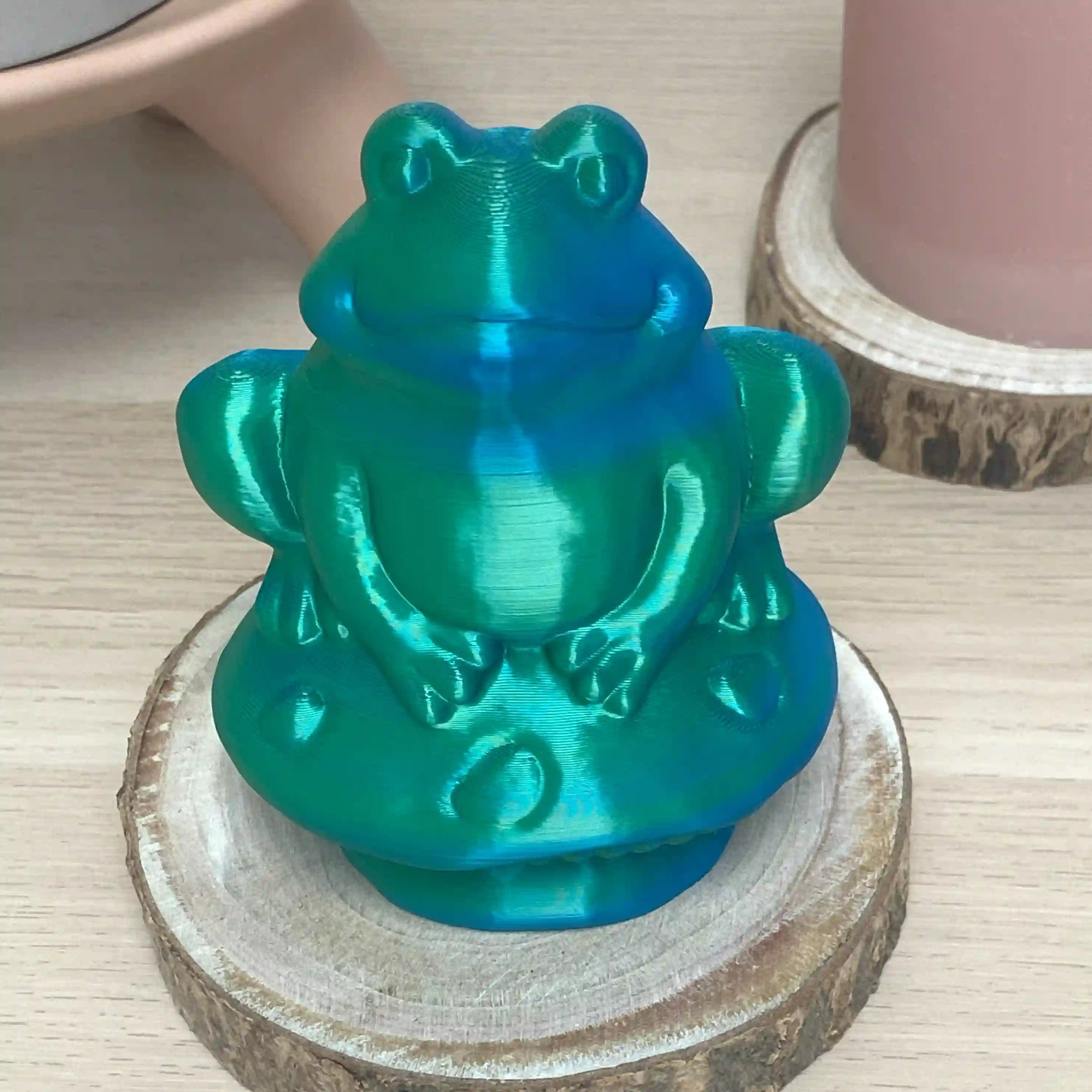 Grenouille sur champi