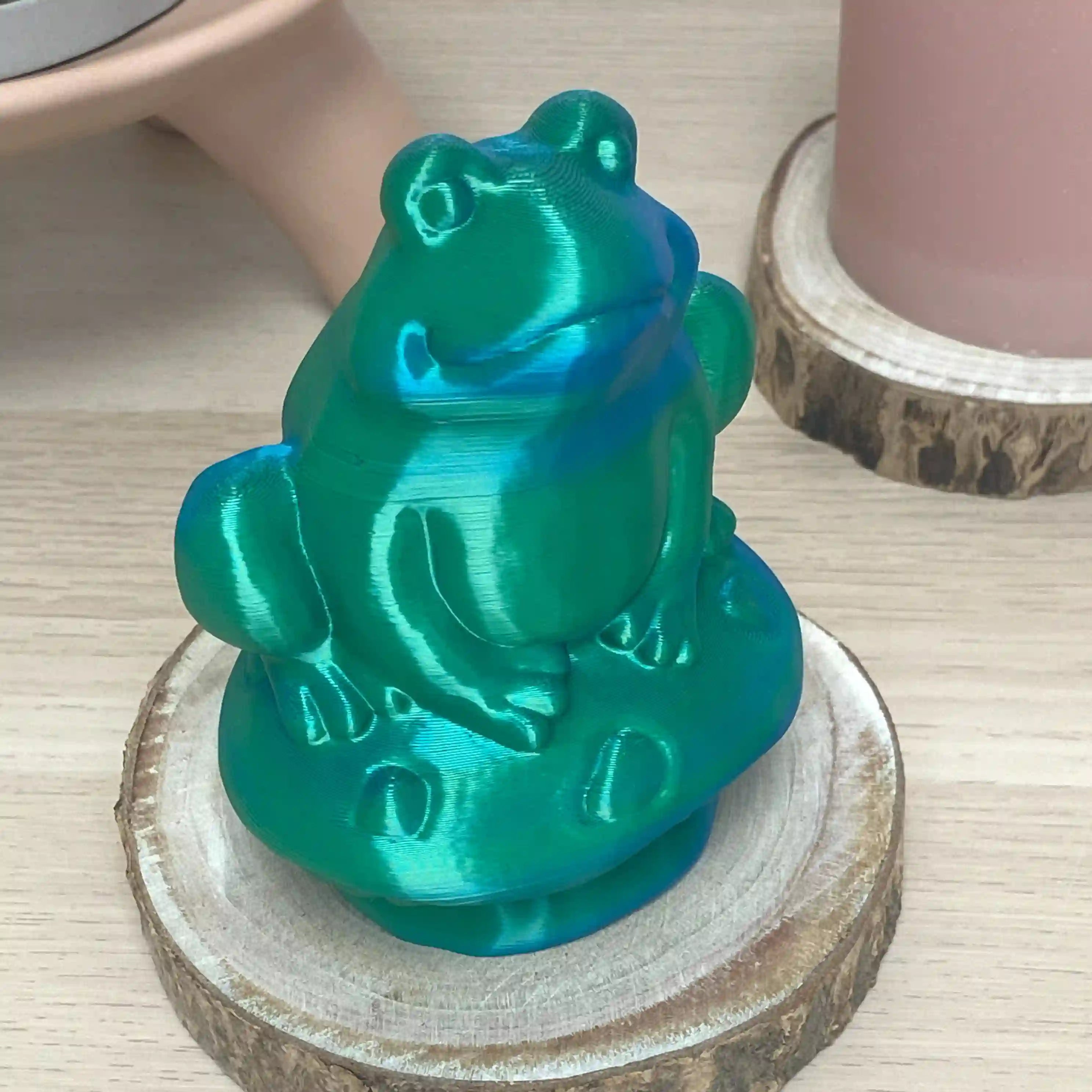 Grenouille sur champi
